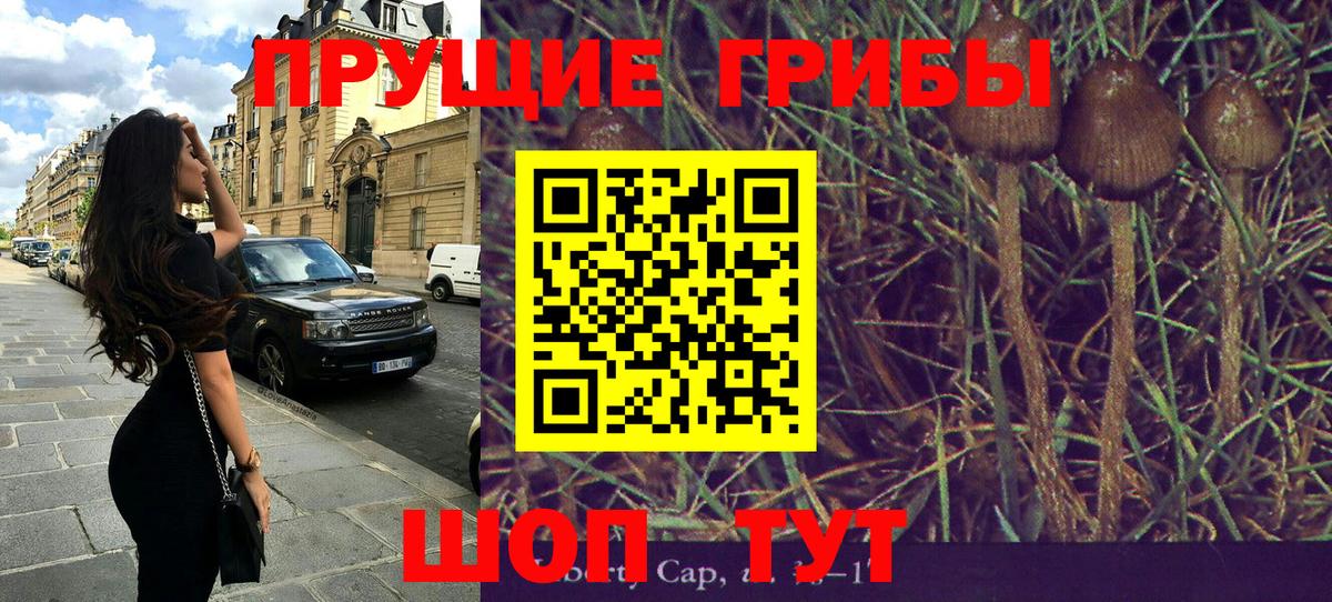 Галлюциногенные грибы Psilocybine cubensis Тында