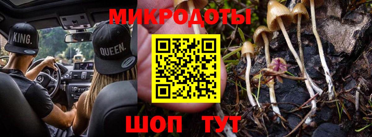 Тында  как найти   Псилоцибиновые грибы Psilocybe  Вход с VPN  Галлюциногенные грибы GOLDEN TEACHER 